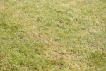 SBM_09298