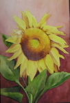 Sunflower II