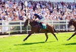 Race 3 15.05pm Ruby Lodge Care Home In Thirsk Nursery Handicap portfolio
