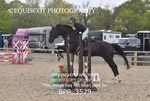 BPP_3529