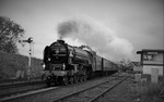 JL - 5.10.19 LNER A1 60163 'Tornado' 1Z65 Carlisle - Leicester, KS