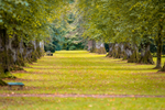  1005 IMG_8677