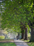 A walk in the park, Heavitree Pleasure Grounds, Exeter