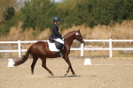 SBM_013713