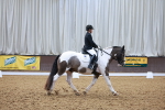 SBM_008751