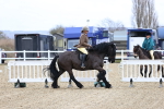 SBM_006989