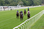 190826-Race 3-Maltese Cross-0299
