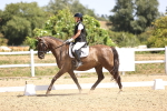 SBM_010594