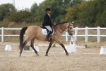 SBM_015688
