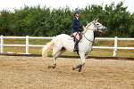 SBM_000739