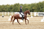 SBM_003964