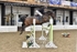 BPP_3982