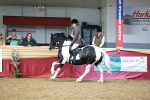 SBM_03664