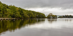 Milarrochy Bay, Loch Lomond (5)