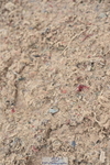 231013A-142302-02532