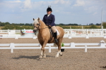 SBM_04029