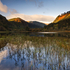 Autumn Morning Calm