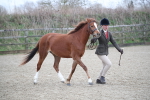 SBM_003908