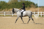 SBM_001514