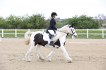 SBM_006563