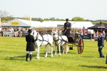 SBM_02793