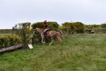 WJ5_5869