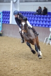 SBM_008205