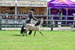 SBM_03564