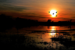 Spring Thaw