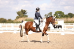 SBM_03714
