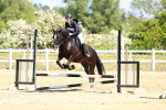 SBM_007431
