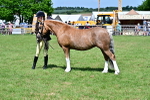 SBM_08052