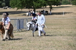WJ6_9491