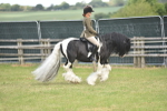 SBM_15883