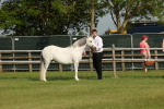 SBM_00484