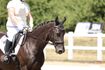 SBM_001667