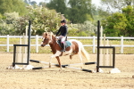 SBM_006467