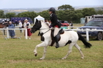 Class 34: Veteran Ridden portfolio