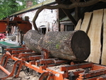 Sawmilling Ash 