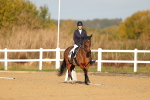 SBM_008830