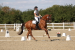 SBM_022541