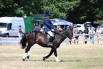 WJ7_3724