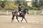 SBM_009876