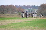 WJ6_9125