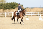 SBM_017318
