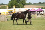 SBM_09264