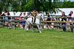 SBM_06076