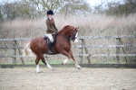 SBM_006339
