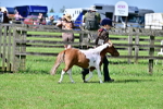 SBM_03418