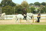 SBM_71977